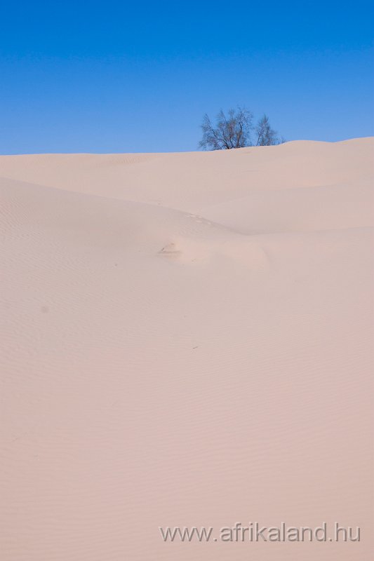 Saharun_420.jpg