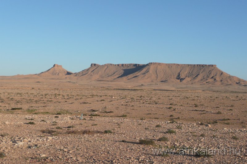 Saharun_448.JPG