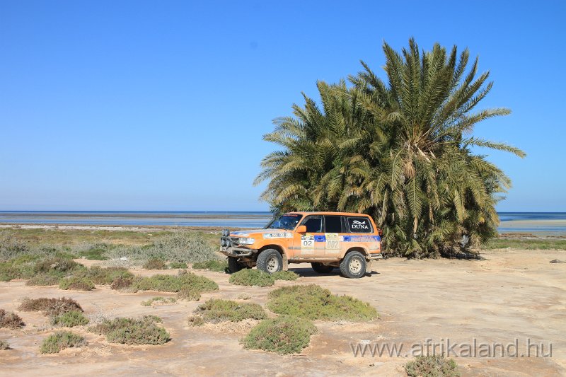 Saharun_530.JPG