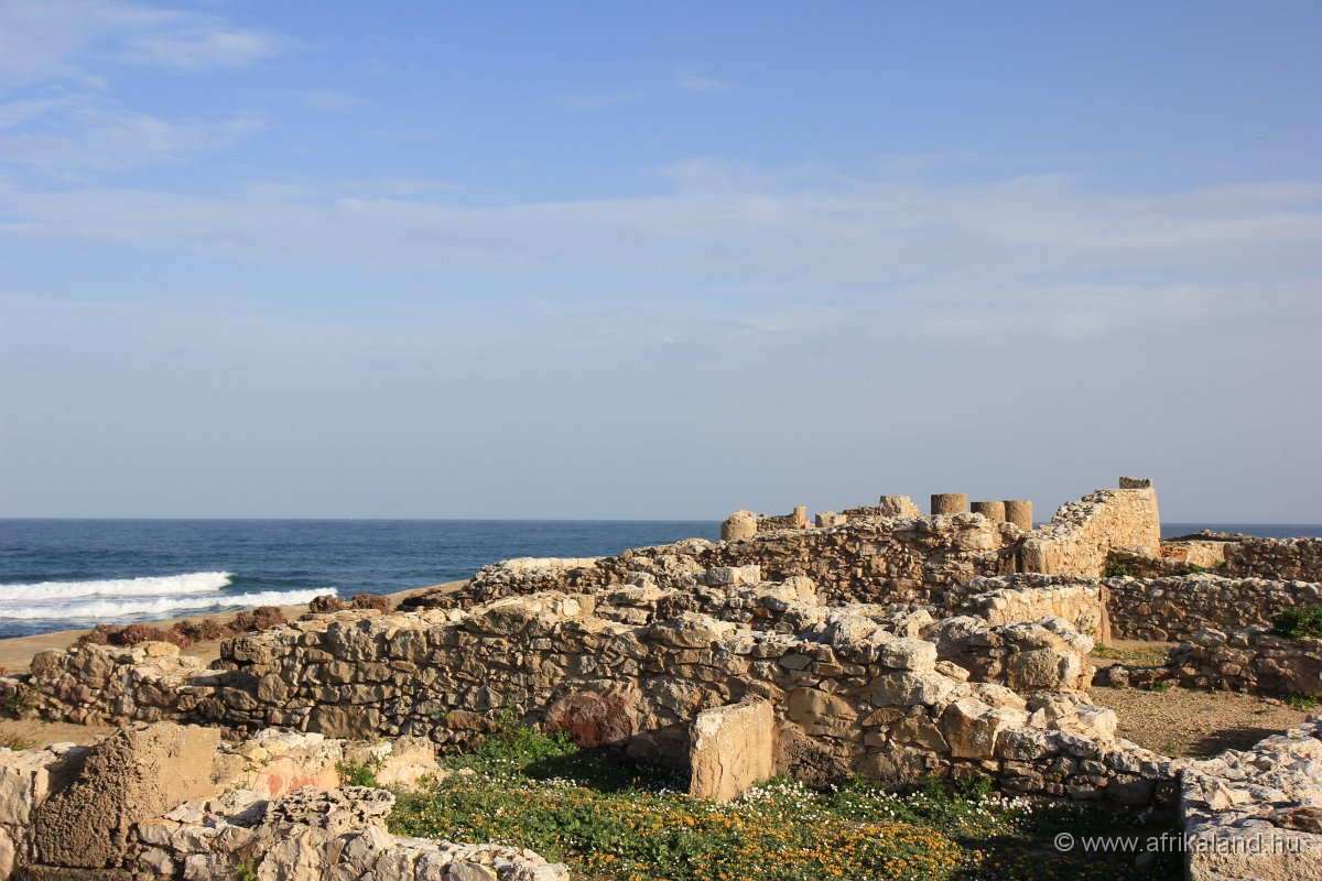 IMG_5433.JPG