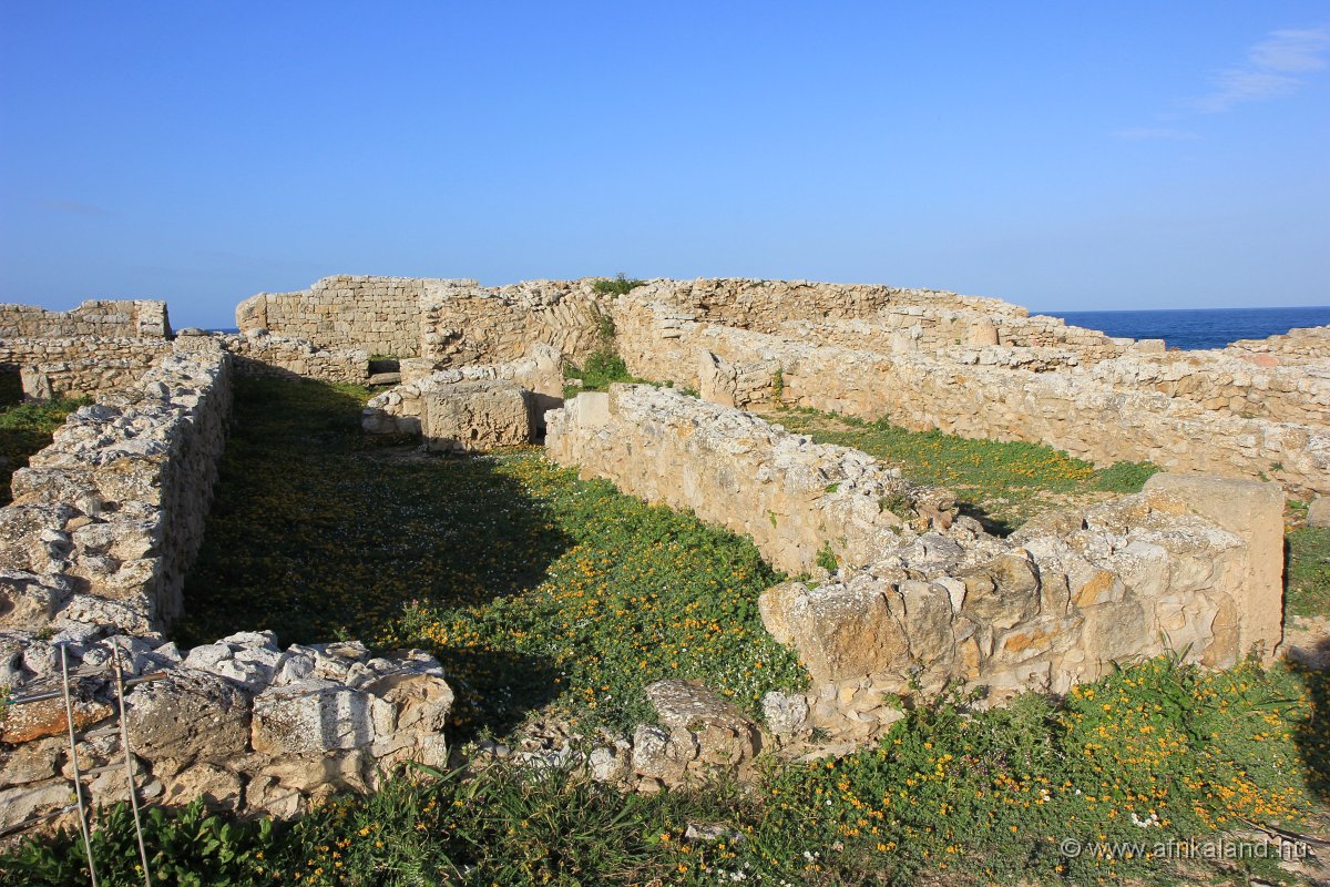 IMG_5447.JPG