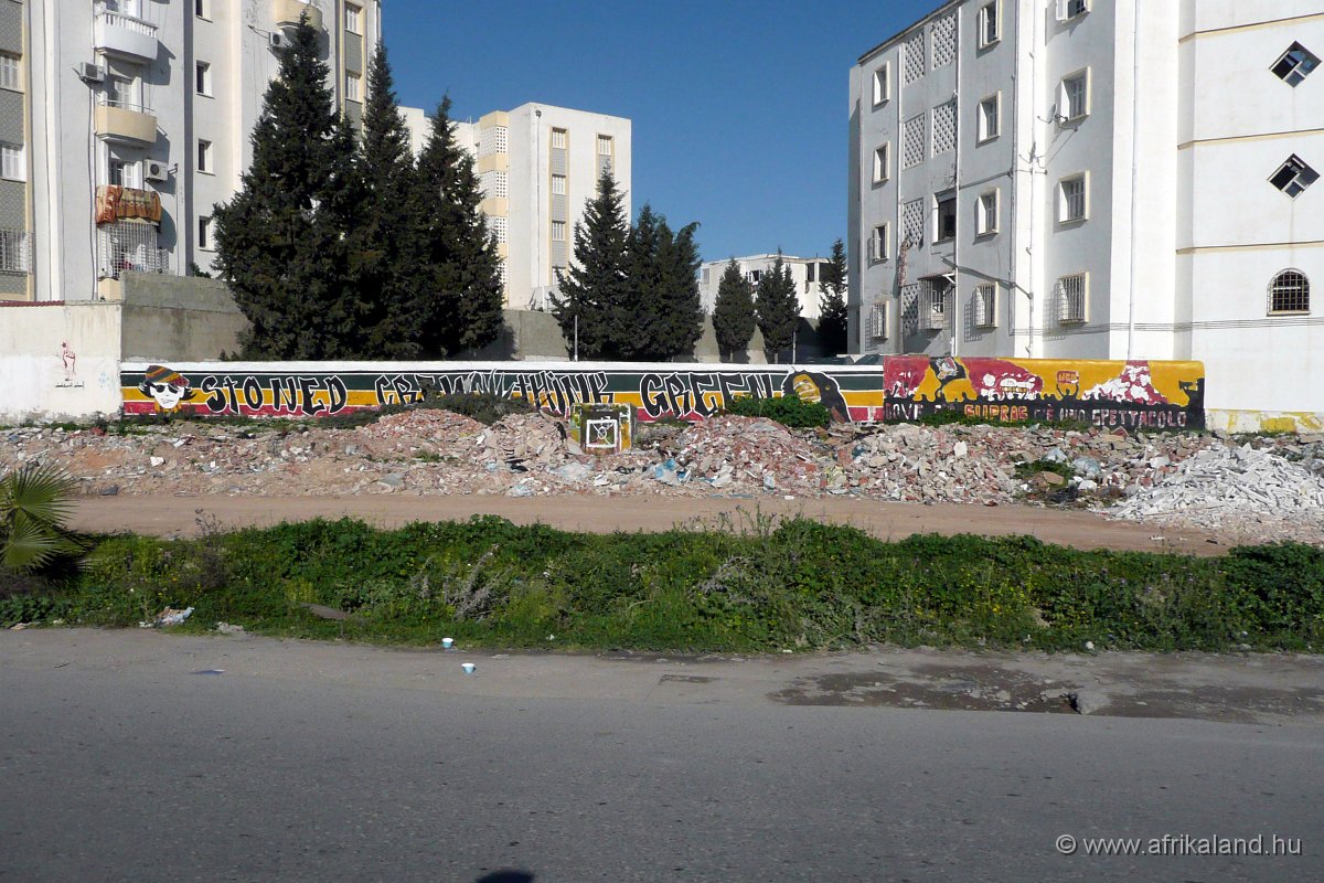 P1110226.jpg
