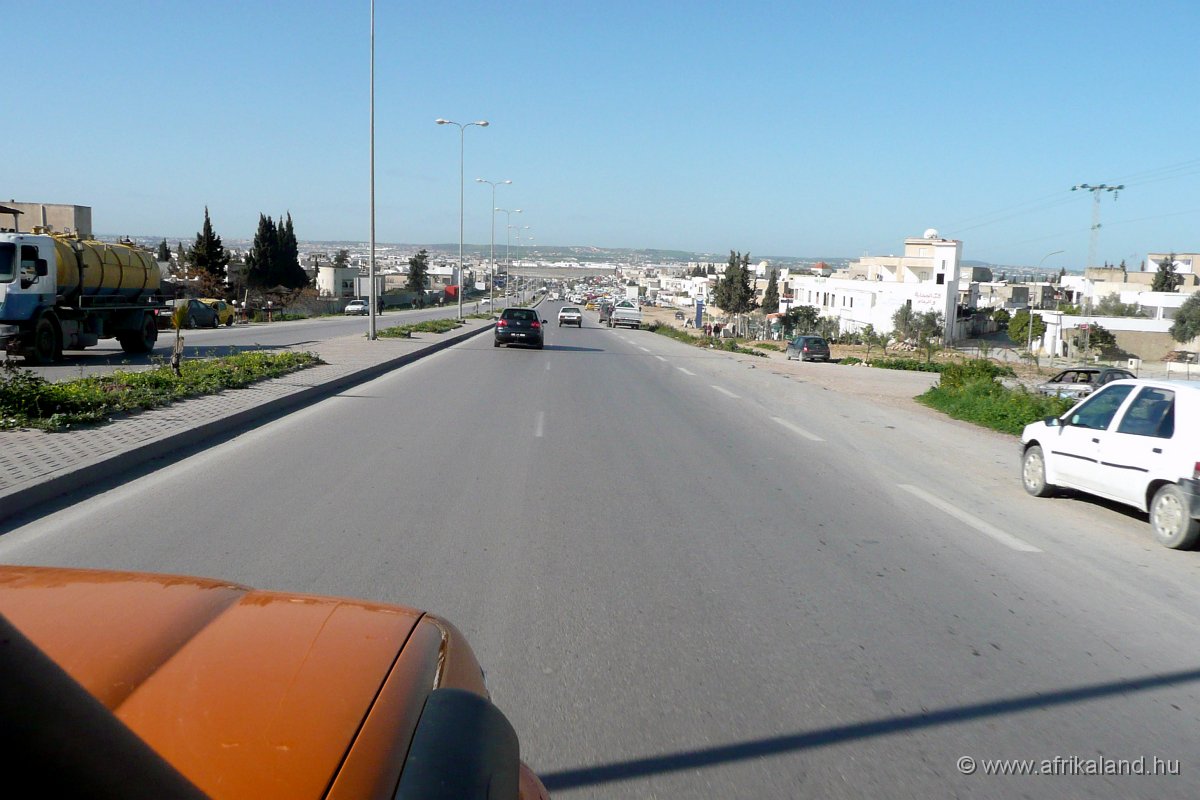 P1110229.jpg