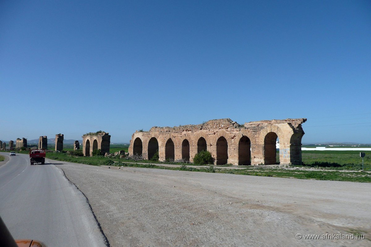 P1110231.jpg