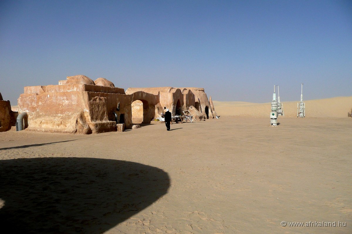 P1110369.jpg