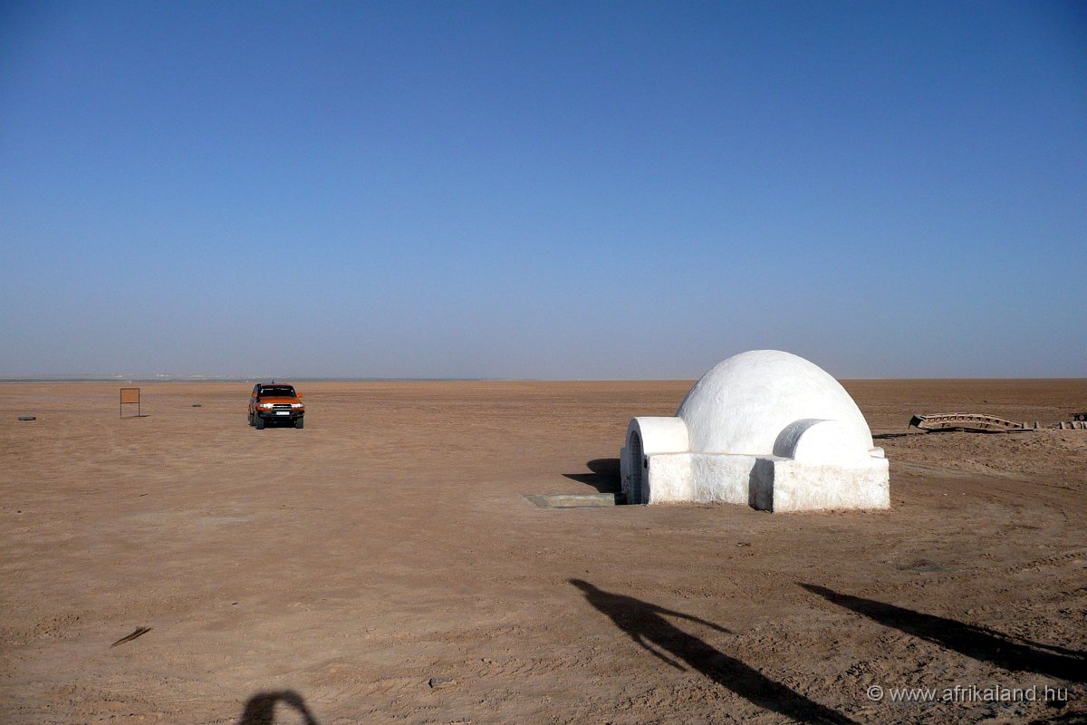 P1110383.jpg