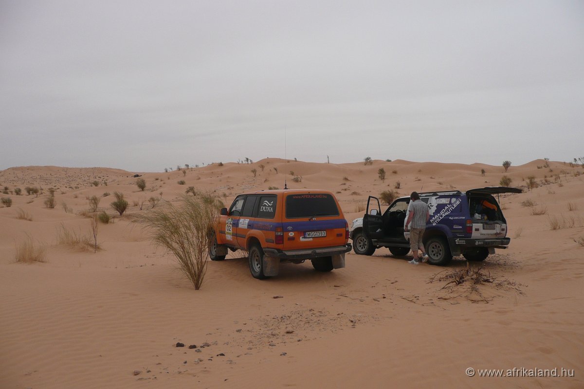 P1110430.JPG