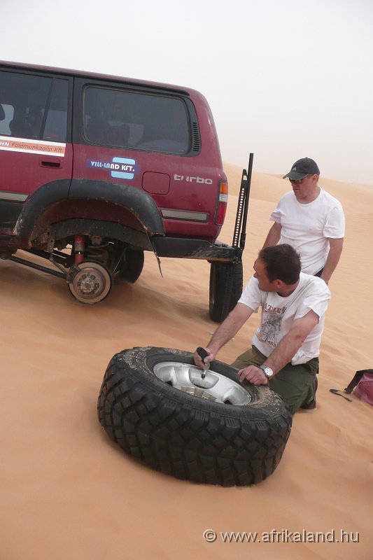 P1110584.JPG